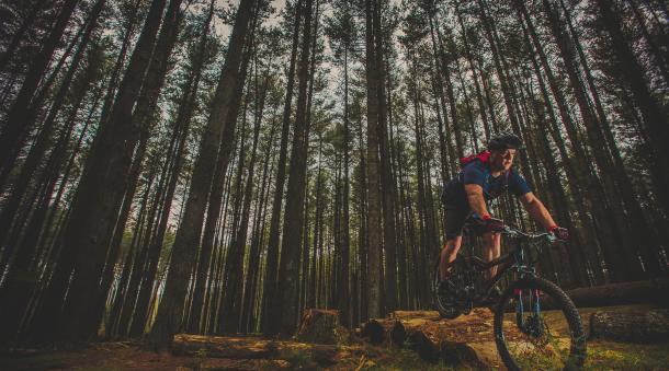 Enchanted Forest MTB